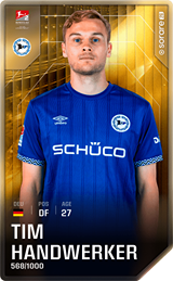 Tim Handwerker - limited