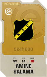 Amine Salama - limited