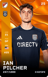 Ian Pilcher - limited