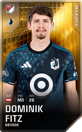 Dominik Fitz - limited