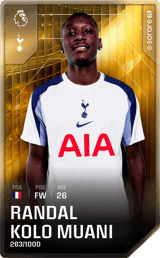 Randal Kolo Muani - limited