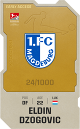 Eldin Dzogovic - limited