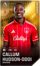Callum Hudson-Odoi - limited