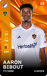 Aaron Bibout - limited