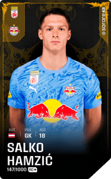 Salko Hamzić - limited