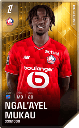 Ngal'ayel Mukau - limited