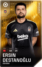Ersin Destanoğlu - limited