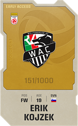 Erik Kojzek - limited