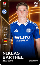 Niklas Barthel - limited