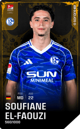 Soufian El-Faouzi - limited