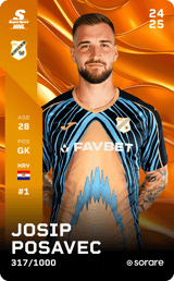 Josip Posavec - limited