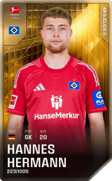 Hannes Hermann - limited