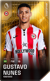 Gustavo Nunes - limited