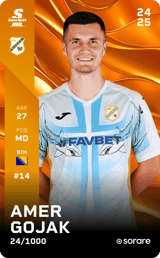Amer Gojak - limited