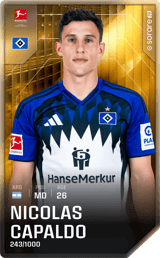 Nicolás Capaldo - limited