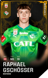 Raphael Gschösser - limited