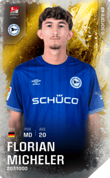 Florian Micheler - limited