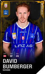 David Bumberger - limited