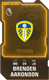 Brenden Aaronson - limited