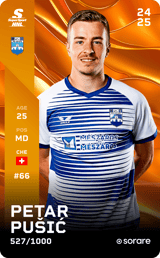 Petar Pušić - limited