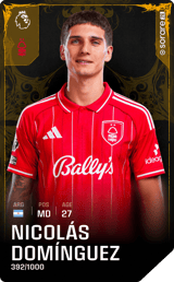 Nicolás Domínguez - limited