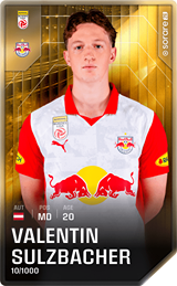 Valentin Sulzbacher - limited