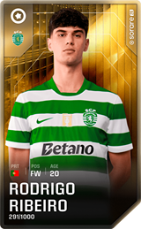 Rodrigo Ribeiro - limited