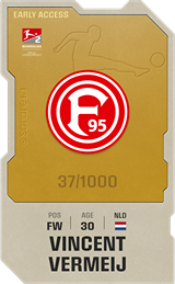 Vincent Vermeij - limited
