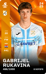 Gabrijel Rukavina - limited