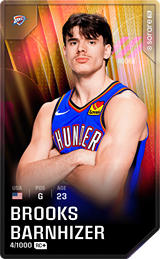 Brooks Barnhizer - limited