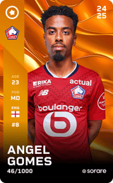 Angel Gomes - limited