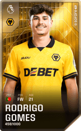 Rodrigo Gomes - limited