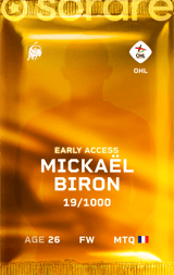 Mickaël Biron - limited
