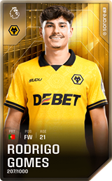 Rodrigo Gomes - limited