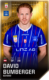 David Bumberger - limited