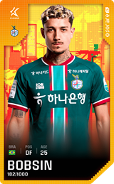 BOBSIN PEREIRA VICTOR - limited