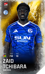 Zaid Amoussou-Tchibara - limited