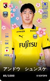 Shunsuke Ando - limited