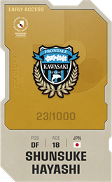 Shunsuke Hayashi - limited