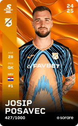 Josip Posavec - limited