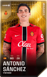 Antonio Sánchez - limited