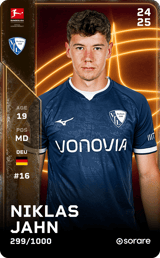Niklas Jahn - limited