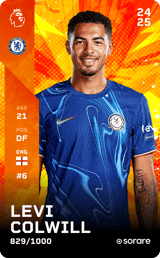 Levi Colwill - limited