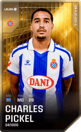 Charles Pickel - limited