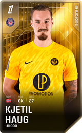 Kjetil Haug - limited