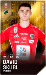 David Skubl - limited