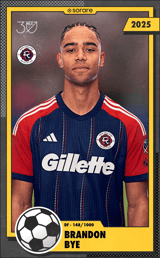 Brandon Bye - limited