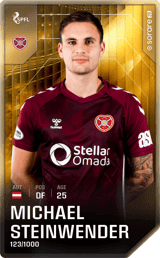 Michael Steinwender - limited