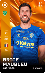 Brice Maubleu - limited