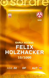 Felix Holzhacker - limited